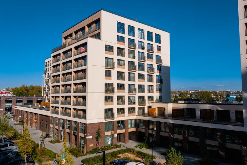 Тайга морион на заре 0,7НФ